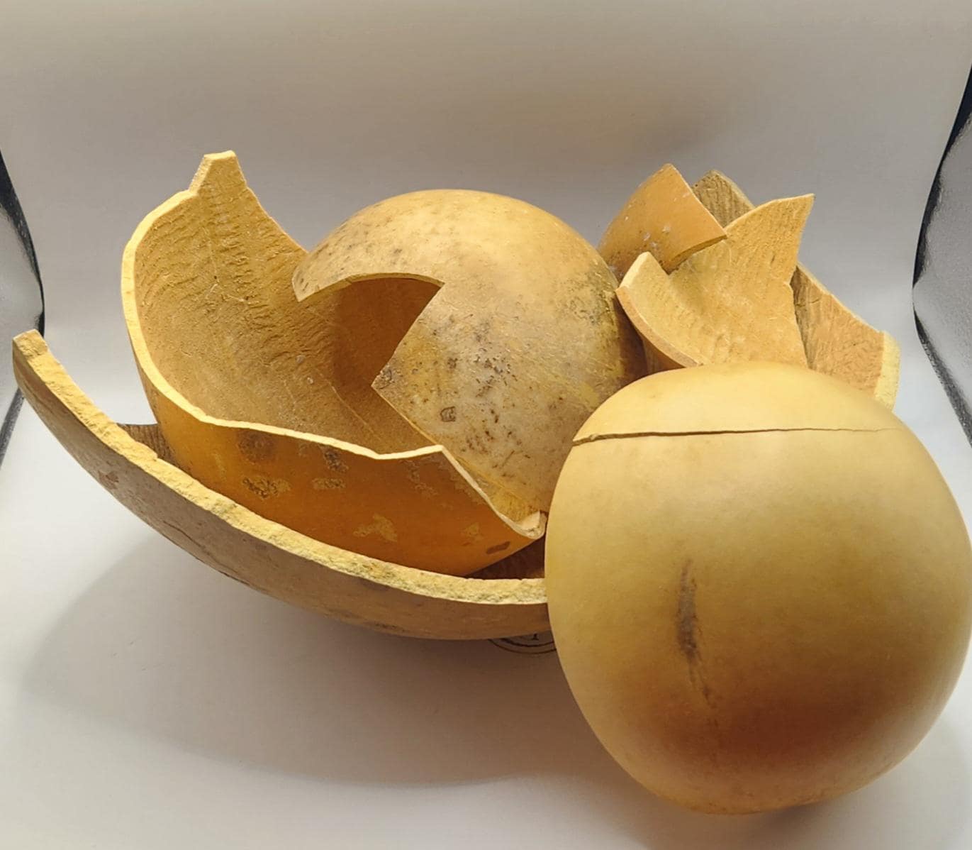 Cracked Calabash Gourd Pieces for DIY | Jewelry, Wall Art, Crafts | Natural, Eco-Friendly Materials