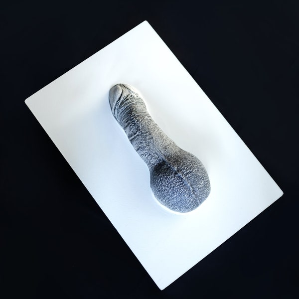 bronze-penis-art-etsy-de