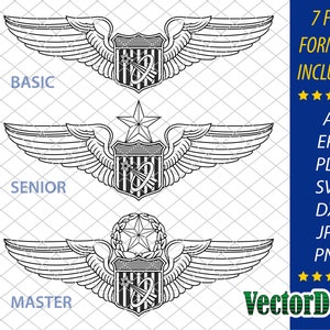 U.S. Air Force Astronaut Wings - Set - Insegne distintive