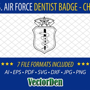U.S. Air Force Dentist Badge - Chief - Vector Dentist Insignia