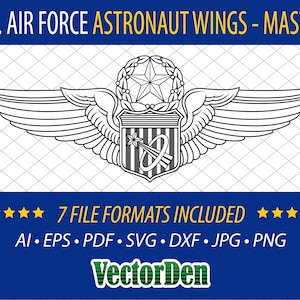 U.S. Air Force Astronaut Wings - Master - Badge Insignia