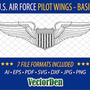 U.S. Air Force Pilot Wings - Basic - Vector Pilot Badge Insignia