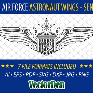 U.S. Air Force Astronaut Wings - Senior - Badge Insignia