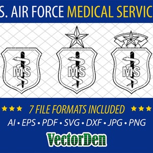 U.S. Air Force Medical Services Badge - Vector Medical Services Insignia