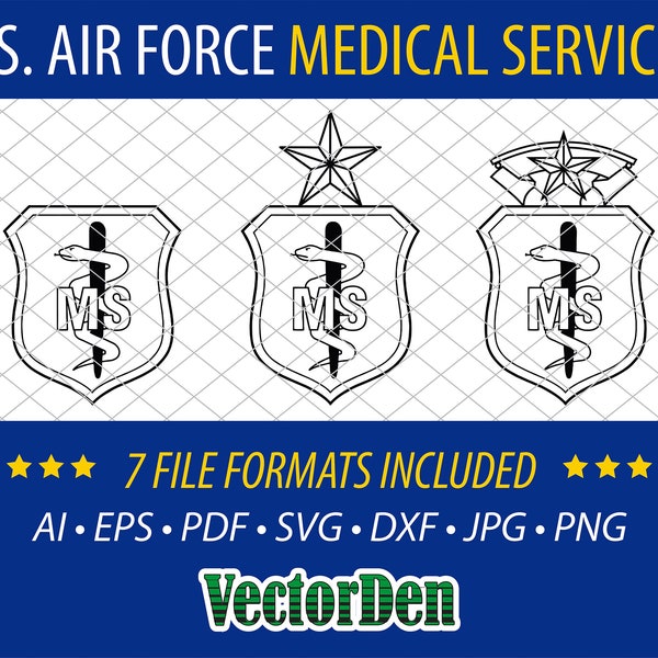 U.S. Air Force Medical Services Badge - Vector Medical Services Insignia