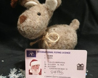 Santa Flying Licence