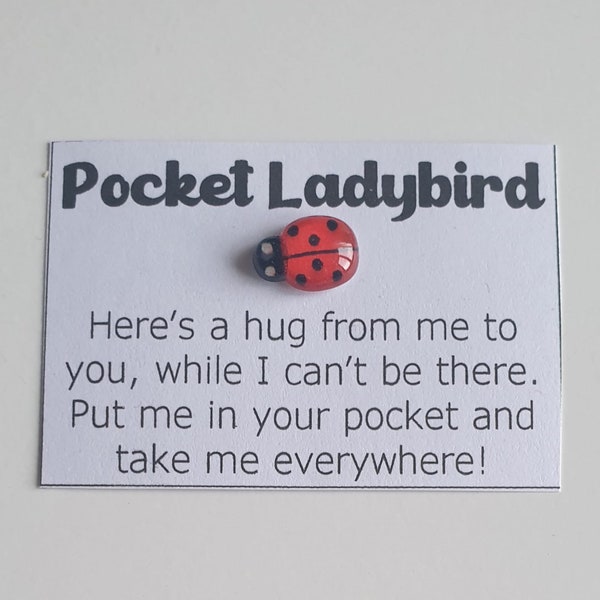 Pocket Ladybird Hug Token gift Please note, This item is approx half the size of a credit card