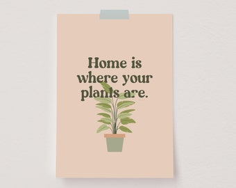 Cartel de la planta de la casa, impresión de aves del paraíso, arte de la pared de las plantas de interior, cartel botánico moderno, decoración de botánica, impresión de Strelitzia Nicolai, cita