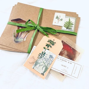 May include: A brown paper package wrapped with green ribbon and decorated with mushroom and plant stickers. The package is tied with a green ribbon and has a tag with a botanical illustration. The tag also has the text "AMY CLARINDA No. 26" and "State Post Office" printed on it.
