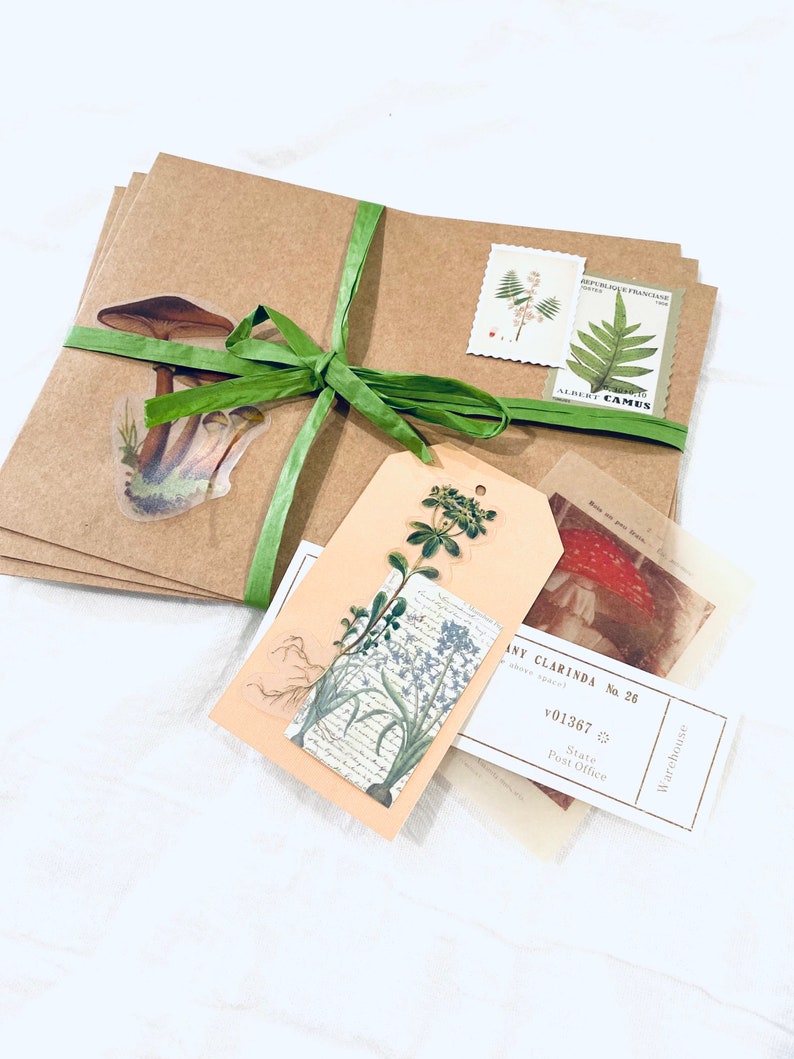 May include: A brown paper package wrapped with green ribbon and decorated with mushroom and plant stickers. The package is tied with a green ribbon and has a tag with a botanical illustration. The tag also has the text "AMY CLARINDA No. 26" and "State Post Office" printed on it.