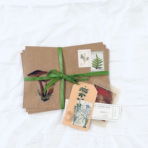 May include: A brown paper package tied with a green ribbon and decorated with botanical stickers. The package includes a mushroom sticker, a floral sticker, and a vintage postcard.