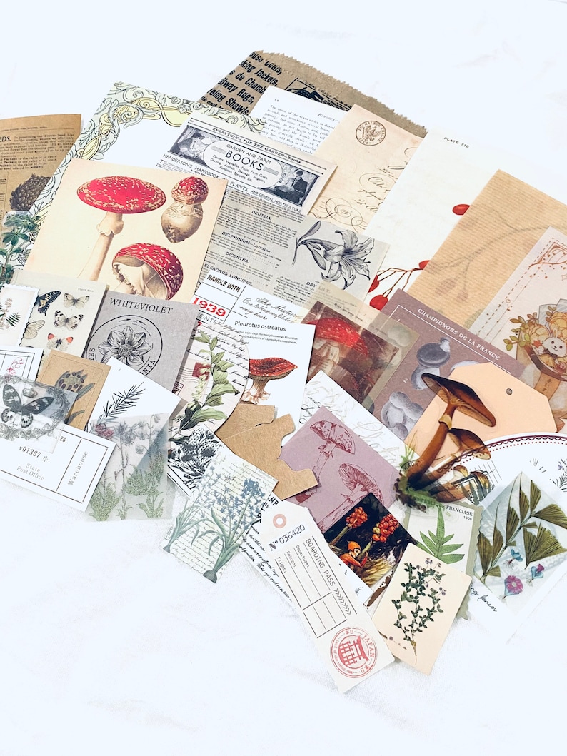 May include: A collection of vintage paper ephemera featuring botanical illustrations, including mushrooms, flowers, and butterflies. The papers are in various shades of brown, cream, and white, with some featuring text in French and English.