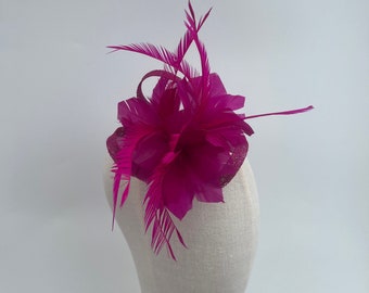 May include: A fuchsia pink feather and mesh flower hair clip.