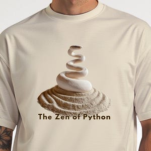 The Zen of Python Shirt, Promt Engineering Tee, Class of 2026 Programmer, Software Engineer Gift, Computer Science TShirt, STEM Women
