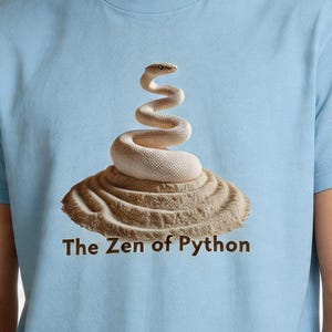 Python Developer Shirt, Software Engineer Graduation Gift, Women in STEM Tee, Machine Learning Data Science Tee, Class of Programmer Gift