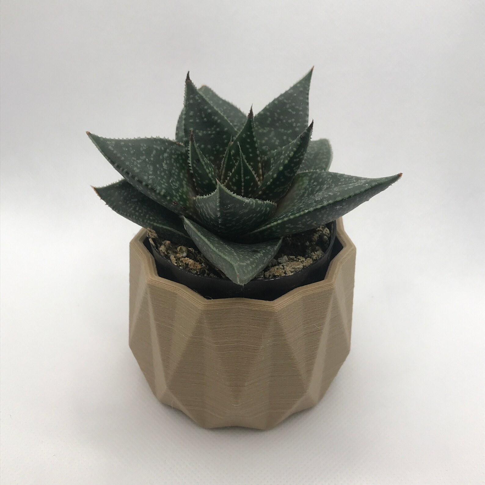 3D Printing Planter STL Files House Plant Succulent Cacti