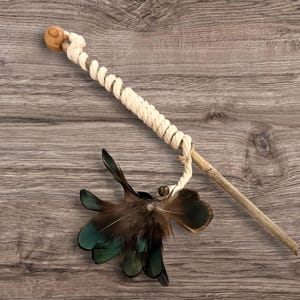 Può includere: Un gioco per gatti composto da un bastoncino di legno con una perlina di legno arrotondata all'estremità. Una corda spessa color crema è avvolta a spirale attorno al bastoncino, terminando con un ciuffo di piume marrone scuro e verde acqua.