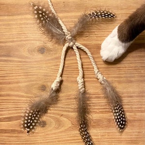 Cat Teaser Wand “The Dancing Sprite”