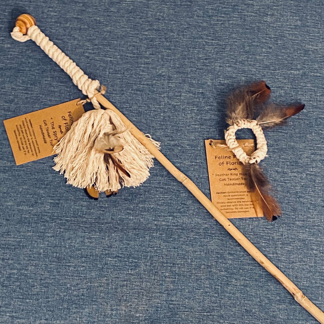 Cat Toy Gift Set Cat Toy Teaser Wand the Spry & feather Ring Flipper Etsy
