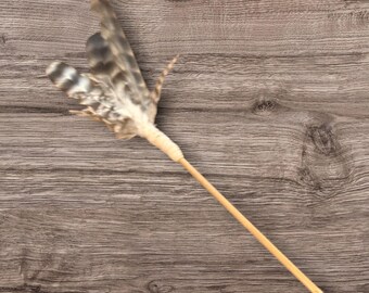 The Wild Wisp— Natural Feather Cat Teaser Toy