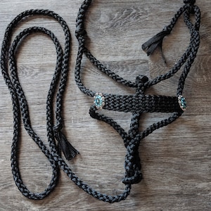 Black Mule Tape Halter