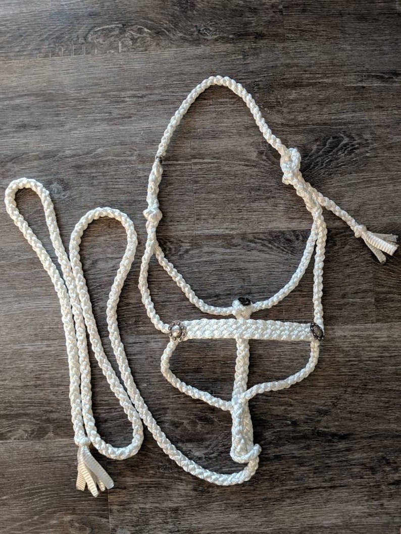 Mule Tape Halter Etsy