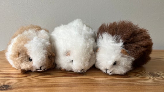 Pure white cheap guinea pig