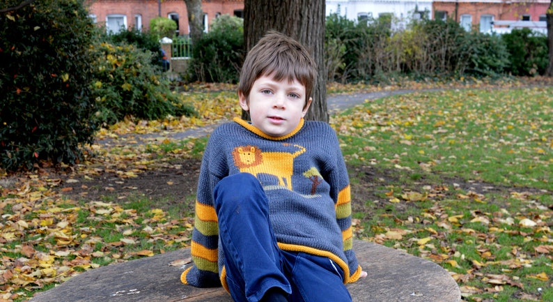 Alpaca wool jumper Grey knit pullover Lion Children Jumper Lion knitted jumper Boy kids jumper Unisex jumper Toddler sweater