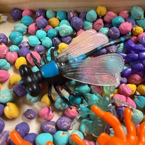May include: A blue and black dragonfly toy with clear wings, a purple spider toy, and an orange spider toy are surrounded by colorful beans.