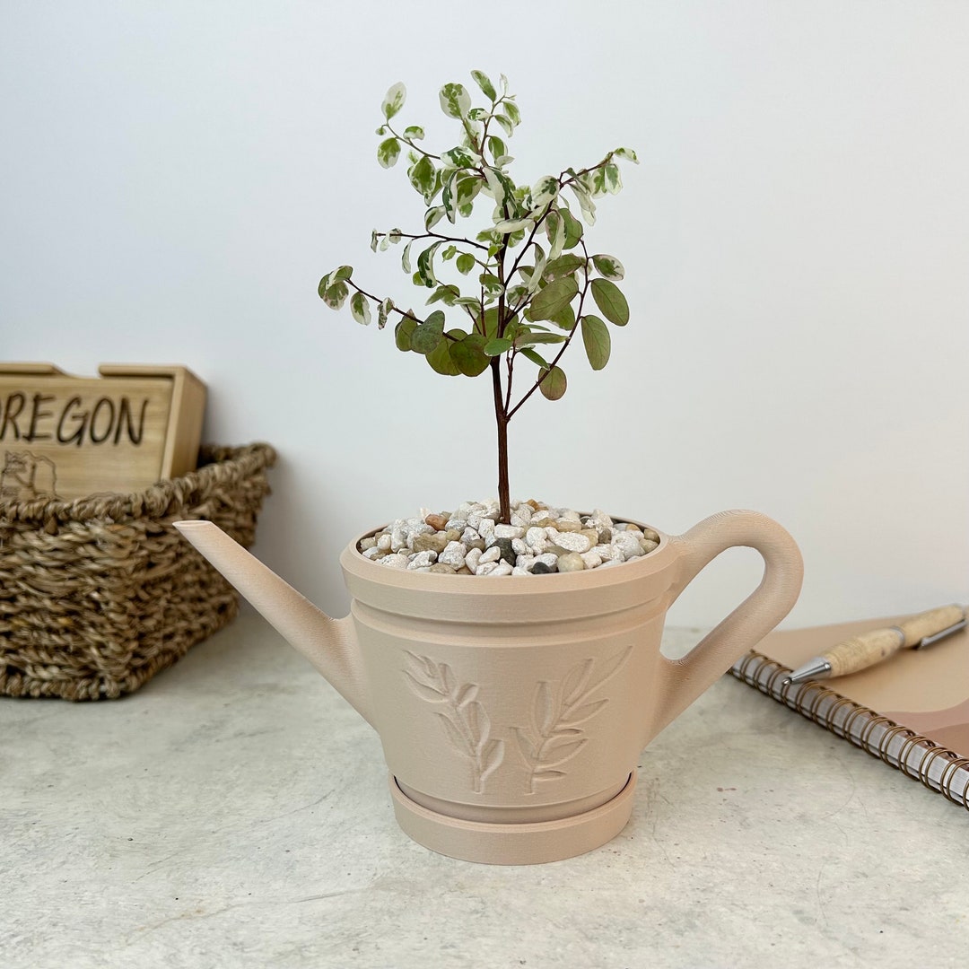 The Beige 'HAZEL' Watering Can Planter for Succulents - Etsy