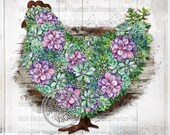 Chicken Design, Succulent Design, Succulent Chicken Design, Chicken PNG, Chicken Wreath Clipart, DIGITAL Download