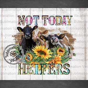 Nicht heute Färsen, Sublimations-Download, Färse Sublimationsdesign, Kuh Clipart