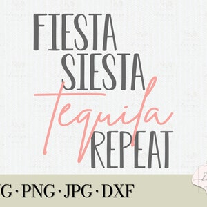 Funny Party Shirt, Fiesta Siesta Tequila Repeat, Fiesta, Cinco De Mayo, Birthday, Fiesta Decorations, Fiesta Birthday, Bachelorette Party