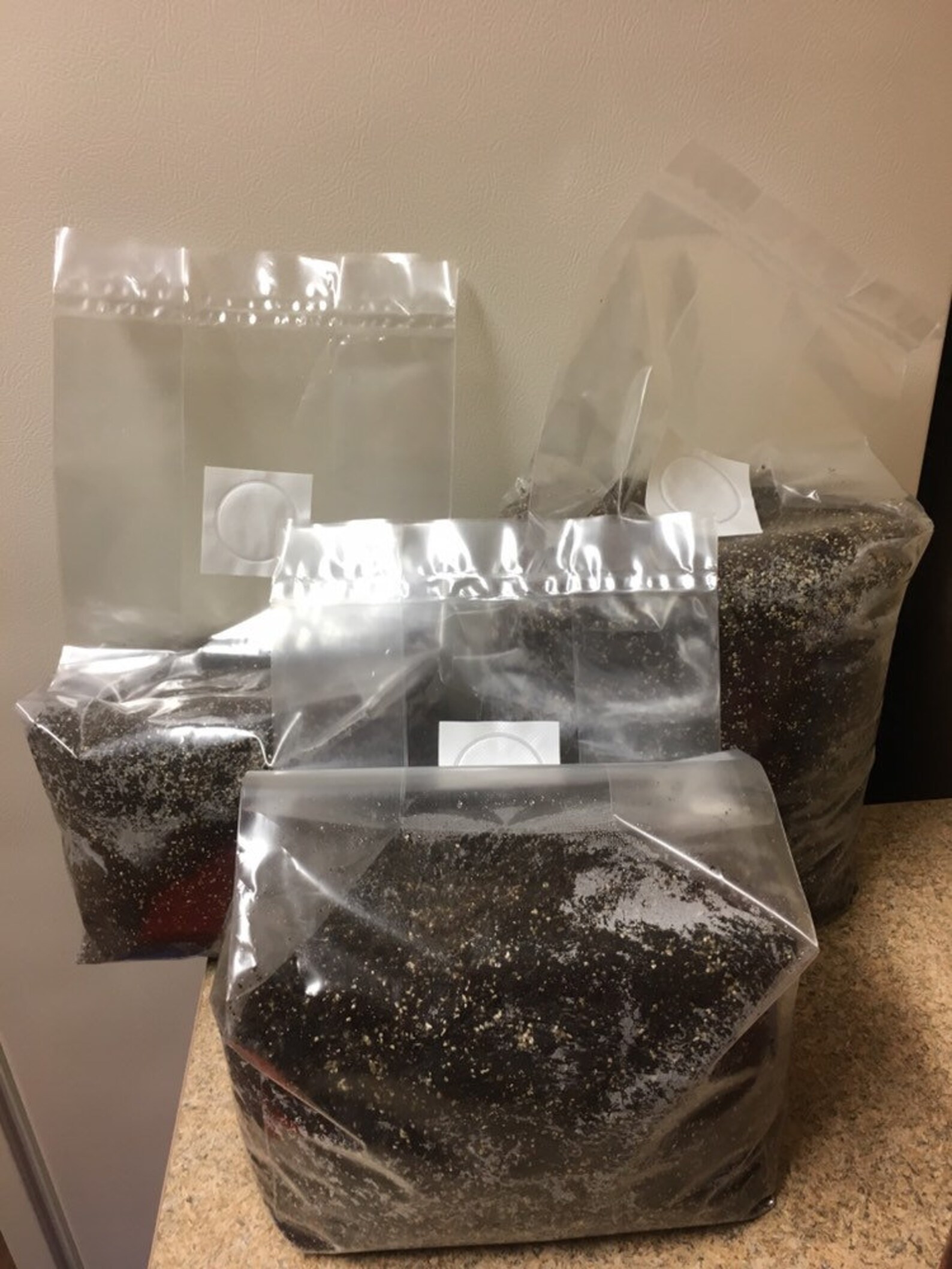 20lbs Bulk Mushroom Substrate Coco Coir/ Vermiculite Etsy