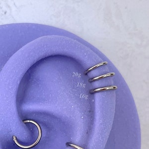 316L Surgical Steel Cartilage Earring, Helix Hoop, 16g 18g 20g Clicker, 6mm 8mm 10mm Conch Hoop, Tragus Ring, Gold, Rose Gold, Silver Finish