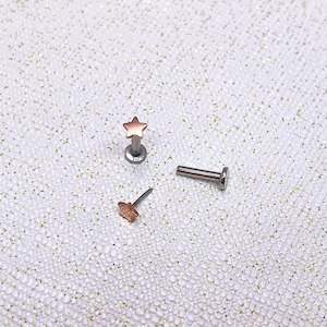 IMPLANT GRADE Titanium Rose Gold Finish Cartilage Earring, Tiny Star/Moon/Heart/Thunder Push In Labret Stud, Helix/Tragus/Conch 16g 18g 20g