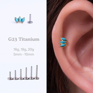 May include: A turquoise and gold triple leaf cartilage earring made of G23 titanium. The earring is available in 16g, 18g, and 20g sizes and 5mm to 10mm lengths.