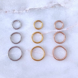 May include: Nine seamless hoop earrings in three different sizes and three different colors: silver, gold, and rose gold.