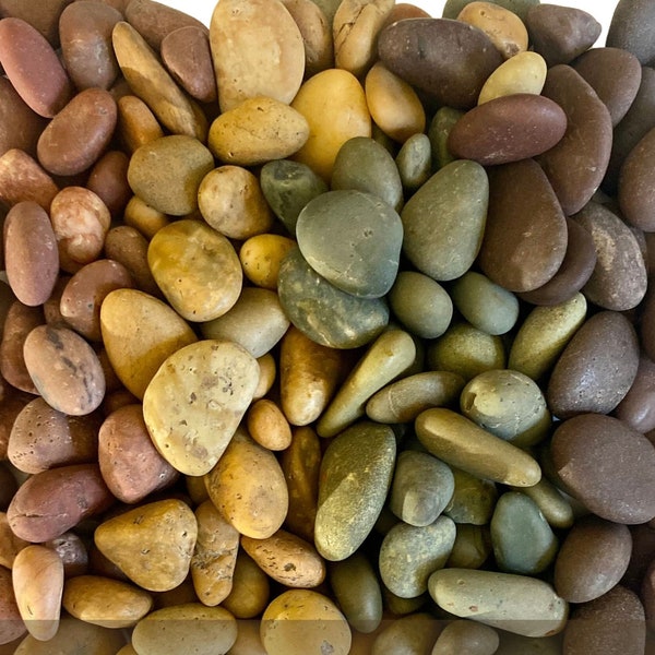 Rainbow Beach Pebbles, 1 Pound Sorted by Color ~ Quick Shipping from California