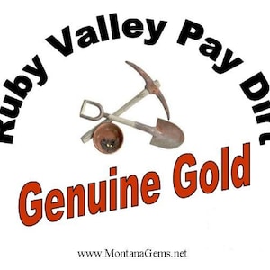 Geniune Gold Paydirt