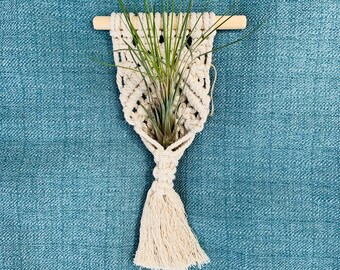 Macrame Airplant Hanger