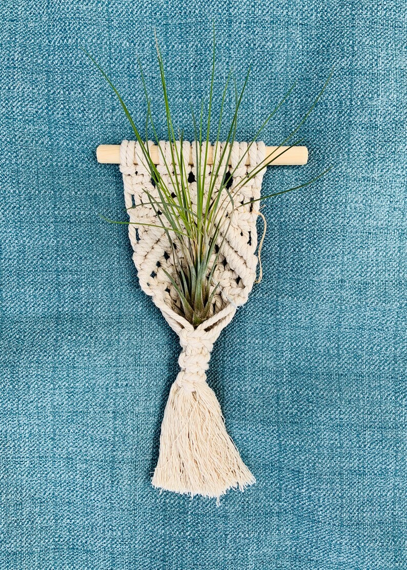 Macrame Airplant Hanger image 2