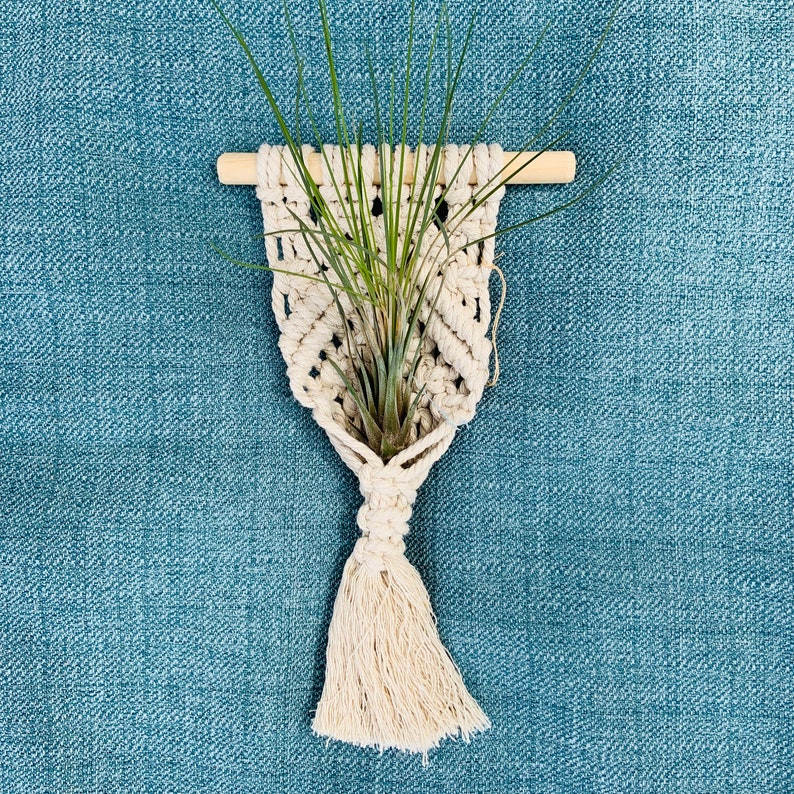 Macrame Airplant Hanger image 1