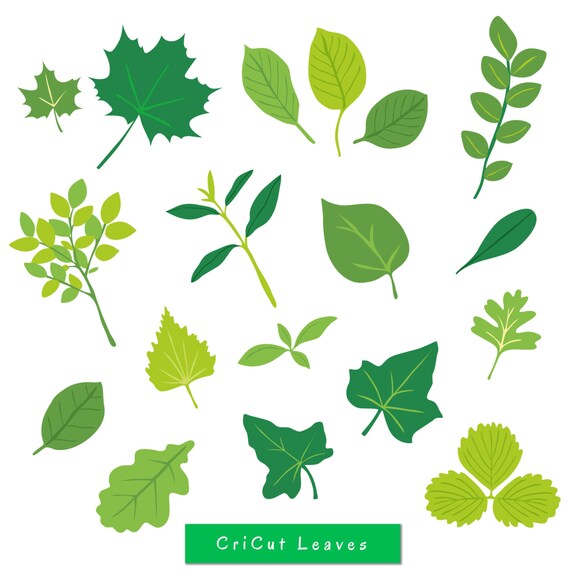 Leaf Svg File Leaves Svg File Branches Svg File Leaves Etsy