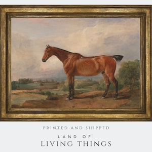 Horse Painting, Equine Painting, Vintage Horse Print