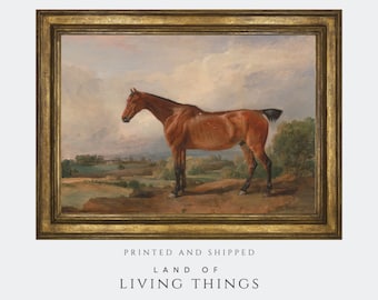 Horse Painting, Equine Painting, Vintage Horse Print