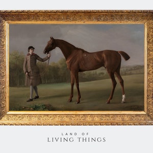 Impresión de caballo vintage, pintura amante de los caballos, arte del caballo, H206