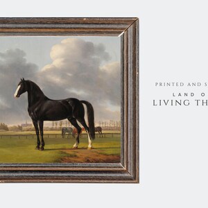 Horse Painting, Square Horse Oil Painting Print, Vintage Horse Art