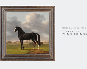 Horse Painting, Square Horse Oil Painting Print, Vintage Horse Art