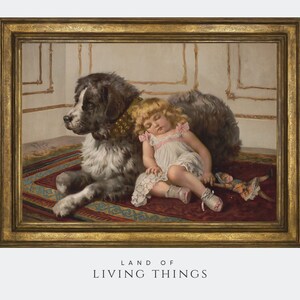 Newfoundland Dog and Girl